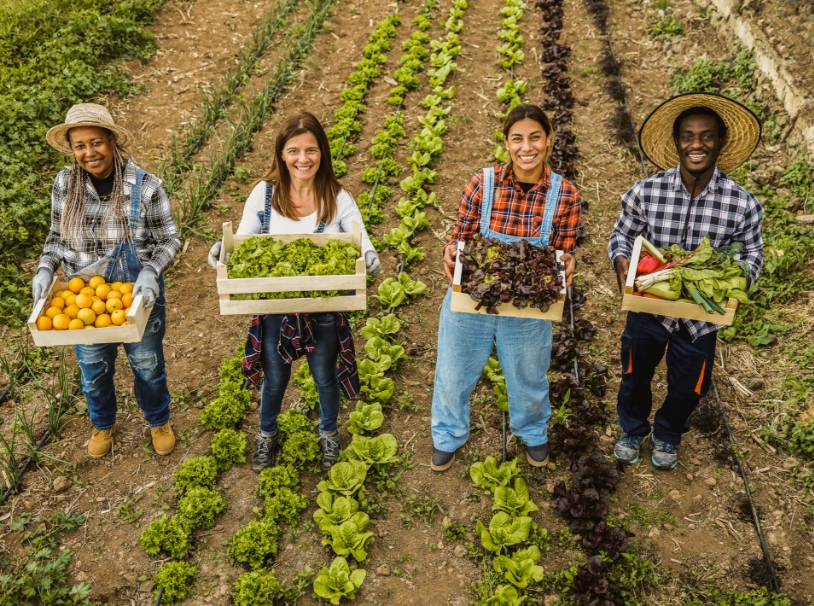Multi-generational farmer team holding wood boxes with fresh organic vegetables, focusing on their smiling faces.